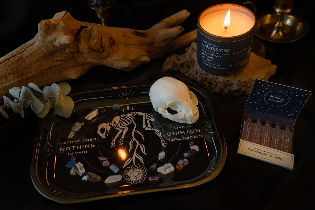 Trinket Tray Nature Does Nothing in Vain Rabbit Skeleton Tray